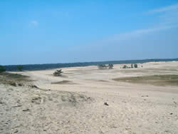 Zand